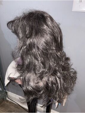 Paula Young “Gayle” A3538 Dark Brown Ash /gray Color 44 Long Layered Wig